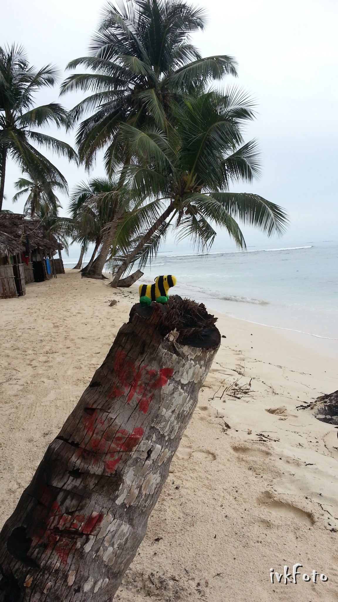 2015 san blas panama
